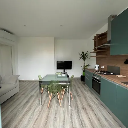 Business Loft 아파트 *